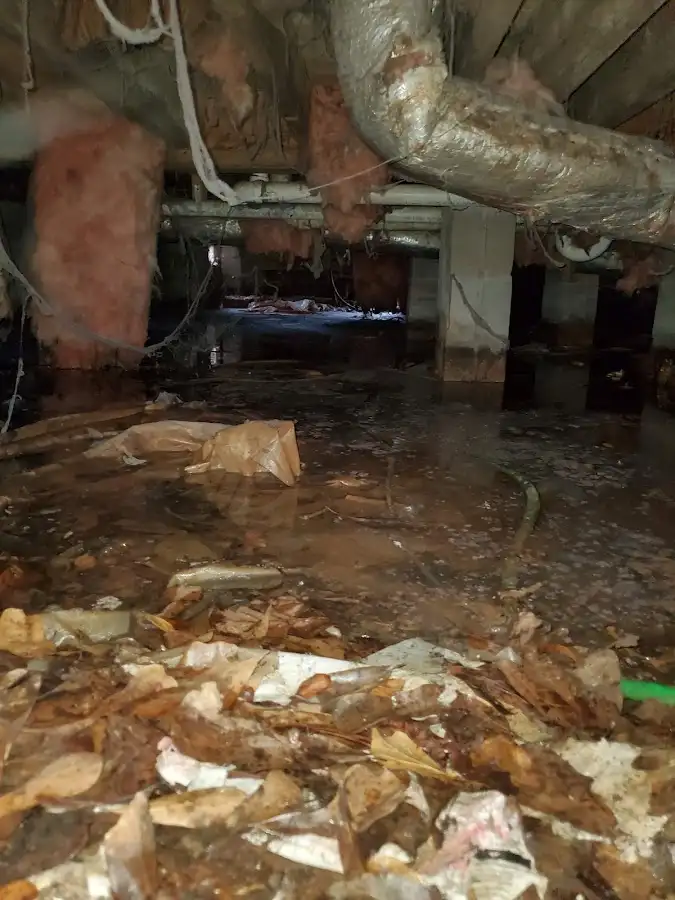 Crawl space flood assessment for Leak Detection & Repair in College Station